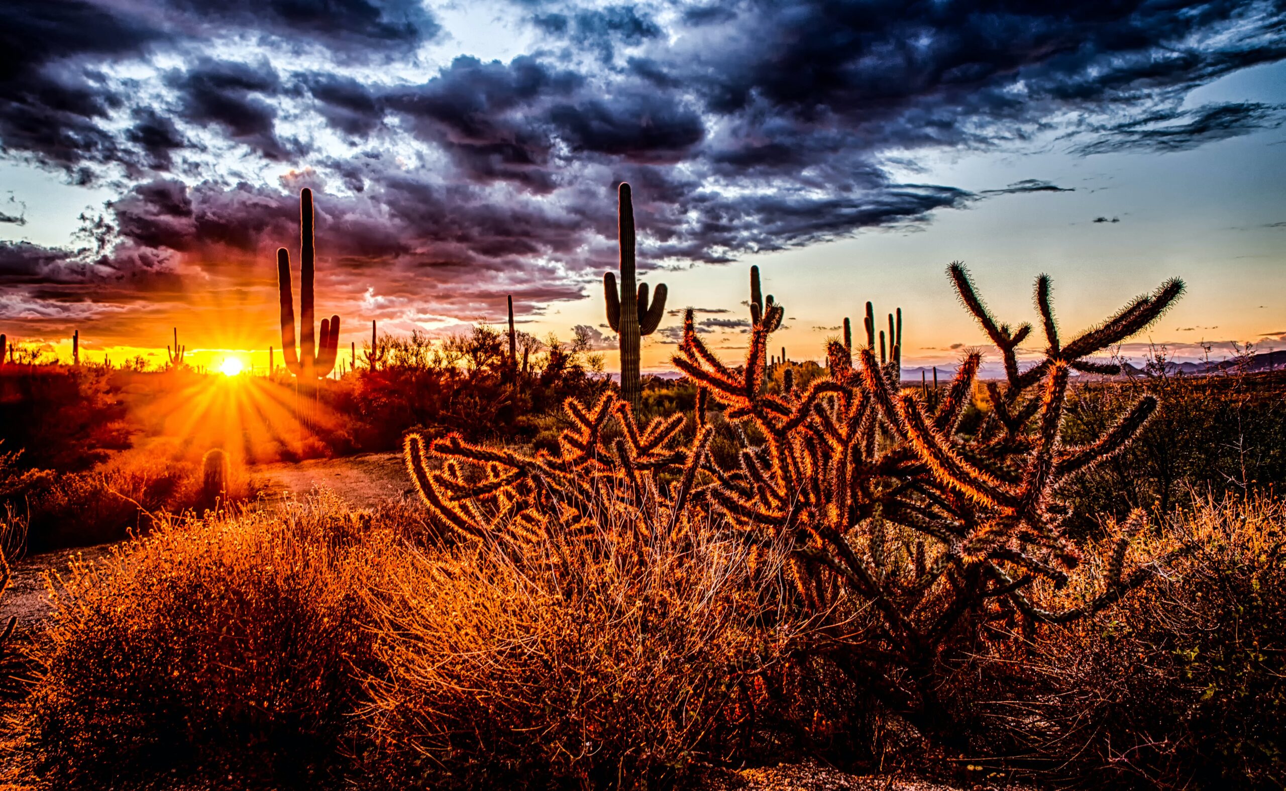 Why We Love Arizona